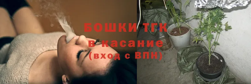 Бошки Шишки гибрид  Богданович 